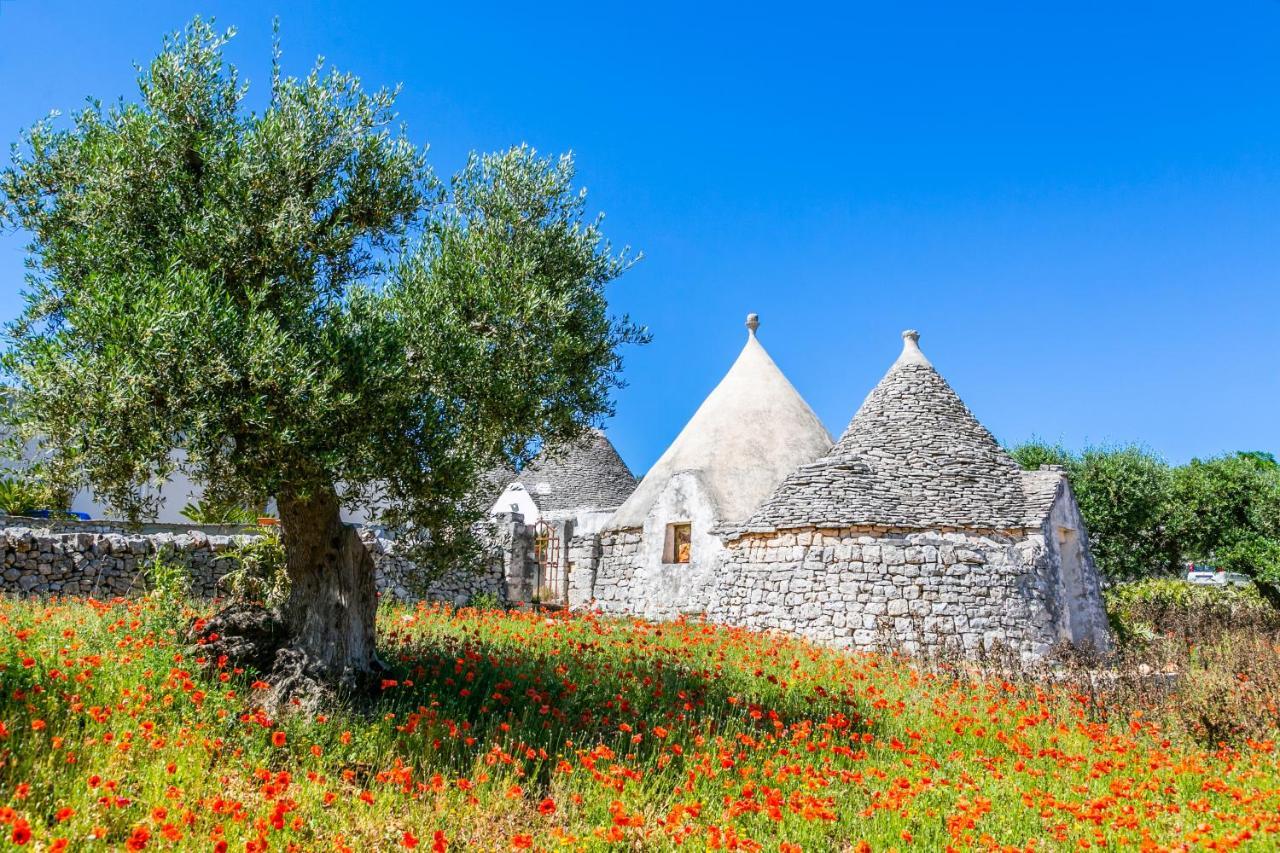 Domus Otium Ostuni - Tiny House Appartement Buitenkant foto